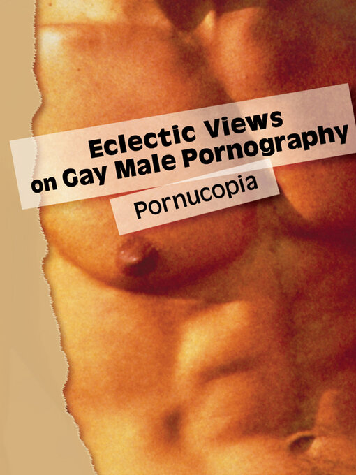 Title details for Eclectic Views on Gay Male Pornography by Todd Morrison - Available